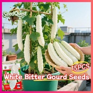 15pcs Fresh White Bitter Gourd Seeds for Planting Vegetables High Yield Momordica charantia White Bi