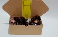 Madu mongso 500 gr oleh2 jogja