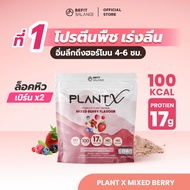 BEFITBALANCE PLANT X MIXED BERRY 500 g โปรตีนพืชสำหรับสาวอยากหุ่นดี ล็อคหิว จุดเตาเผา แคลต่ำ No Soy