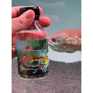 861 Booster Channa Fish Food High Protein Growth Color Enhancer / 雷龙鱼科技饲料 / Makanan Ikan Channa Pemb