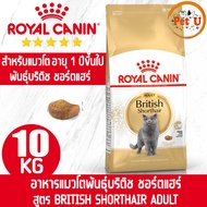 Royal Canin BRITISH SHORTHAIR ADULT 10kg อาหารแมว ชนิดเม็ด สำหรับแมวโตพันธุ์บริติช 1ปีขึ้นไป เม็ดอาหารพิเศษ ดูแลสุขภาพ