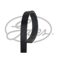 Front Engine Belt 5PK HONDA ACCORD A20A 2.0 NISSAN SERENA C23 200SX S14 SR20DE 2.0