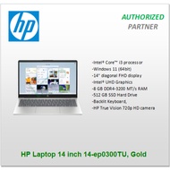 HP Laptop 14 inch 14-ep0300TU, Gold