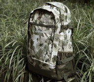 Coleman Walker 33L 綠迷彩背囊 backpack