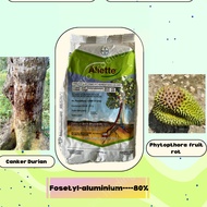 (250g) Bayer Aliette Fosetyl-aluminium 80% WP Kanker Batang, Reput Akar/Reput Batang