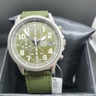 ALBA AM3853X1 /3853 CHRONOGRAPH MILITARY ( NEW )