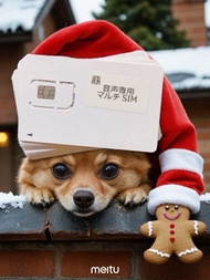 請scan code查詢或whats +819077146338。IF Mobile Docomo日本電話上台計劃 080/090開頭號碼，最快即日有號碼。開通國際漫遊，可打出打入、收發日本Sms。可