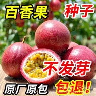 Passion Fruit Seed Original Four Seasons Vegetable Seed Daquan