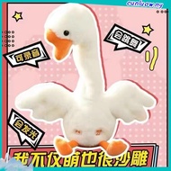 Dencing Cactus Cactus Plush Toy Talk Kaktus Bercakap Dancing toy song plush Dancing Cactus Early Chi