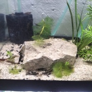 COBBLE STONE FOR AQUARIUM AQUASCAPIN/ HARDSCAPING