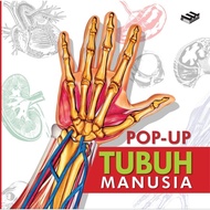 POP-UP 3D Erlangga Human Body