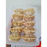 homemade frozen dumpling