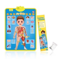 English Interactive Talking Alphabet Poster ABC Wall Chart With Sound Learning ABC & 123