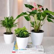【Ready Stock】Lazy Flower Pot Outer And Inner Pot Imitation Porcelain Series Garden Plastic Self Watering Flowerpot With Cotton Rope