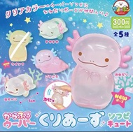 六角恐龍蠑螈扭蛋 透明捏捏 擺件 日版 AMUSE 景品 2025 現貨