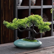 Bonsai Hot Sale Hotel Decoration Living Room Chinese Plant Desktop Office Entrance Tea Table Indoor 