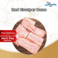 [PAN ROYAL] Fresh Frozen Red Grouper Bone 700g +/-