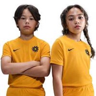 NIKE Erling Haaland Academy เสื้อฟุตบอลเด็ก NI083AP786ENTH