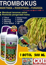 TROMBOKUS BELI 2 BOTOL GRATIS 1 RACUN WERENG IMPORT