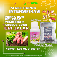 Pupuk Pembesar Ubi Jalar / Pupuk Ubi Jalar Jumbo / Pupuk Pelebat Buah Ubi Jalar / Pupuk Ubi Jalar / 