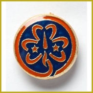 ⚽︎ ♗ ✼ GSP PINS (twinkler, star, junior, senior, cadet,troop leader pin, WORLD PIN, GSP LOGO PIN)
