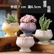 Succulent Flower Pot Ceramic with Tray Large Diameter Large Fortune Tree Pot Household Succulent Flower Pot