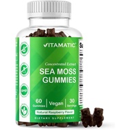 Vitamatic Irish Sea Moss Gummies with Bladderwrack & Burdock Root – Botanical Extract Supplement – V