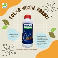 AGROBRIDGE FOLIAR WUXAL BORON BAJA SEMBUR (1L) 11.0% N – 13.8% P2O5 – 9.6% B + TE