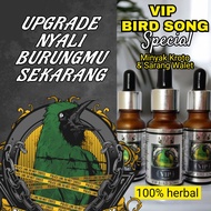 Minyak kroto dan sarang walet untuk semua jenis burung VIP BIRD SONG