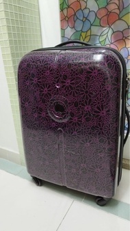 法國Delsey大使牌24 吋行李旅行箱喼France 25kg  tsa safe lock luggage suitcase