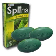 Splina Chlorophyll Bar Soap By Edmark