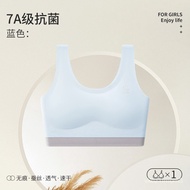 [9.6,000 Person Collection] Girls Underwear Developmental 10,000 Years Old Primary School Students C