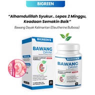 [ ORIGINAL HQ ] - Menstabilkan Bacaan Kesihatan Bawang Dayak Kalimantan by Bigreen