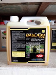 Bablas/Bablas 5 liter/Bablas 490SL 5 liter/Herbisida Bablas 490SL 5 liter/Obat Pembasmi Rumput/Obat 