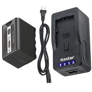Kastar LED Super Fast Charger & Battery 1 Pack for Panasonic AG-VBR59 AG-VBR89G AG-VBR118G AG-BRD50