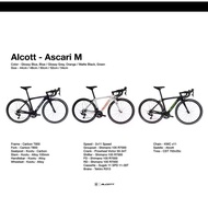 Alcott Ascari M clear