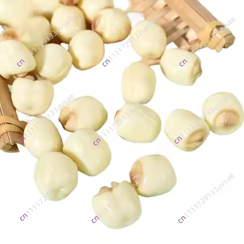 Simulated lotus seed ornament, plastic dried lotus, kitchen decor & photo props