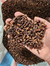 BUMBU CENGKEH 1KG - CENGKEH 1KG - CENGKEH MASAK
