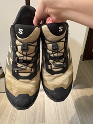 Salomon X-adventure goretex 行山鞋