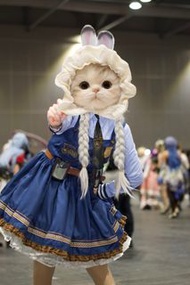 zootopia 優獸大都會 Judy 兔仔 朱迪 Cosplay 服裝套裝 全套