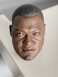 Hot Toys  1/6  Hottoys MMS163 鐵血戰士 Predators Noland 頭