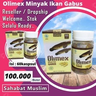 Kapsul Minyak Ikan Gabus Olimex - Kapsul Albumin Ekstrak Minyak Kutuk