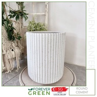 [Sparkle] Planter Pot Outdoor Pot Garden Pot Fiberglass Pot Concrete Pot Cement Pot Tree Pot Flowerp