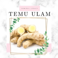 Temu Ulam / Temu Pauh