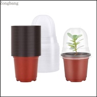 Zone 5 10 15 20Pcs Seed Starting Pots Container for Succulents Seed Transplanting