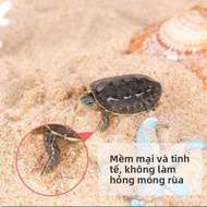 MOMIAN | Đá Trang Trí Thủy Sinh Pha Lê Cát Ảnh