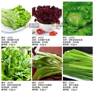 Vegetable Seeds Pastoral Vegetable Seeds Cauliflower Fruit Cucumber Radish Winter Melon Petitgrain P