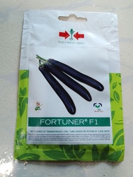 FORTUNER F1 HYBRID LONG EGGPLANT (875 SEEDS )ASENSO PACK BY EAST WEST SEEDS