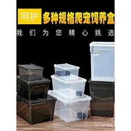 Reptile Breeding Box Amphibian Snail Spider Gecko Horned Frog Large Turtle Breeding Box with Hideout