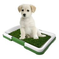 Dog Training Sanitary Pad Changing Pad Toilet Training Pad